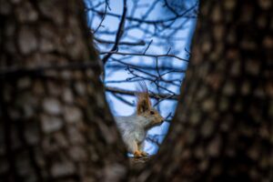 Красивые обитатели Тбилисского ботанического сада