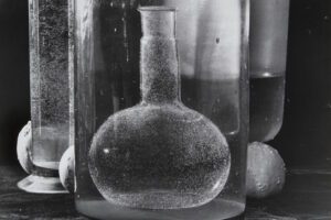 Натюрморты создают не только живописцы, но и фотографы. Вот пять монохромных работ фотохудожников с новой выставки в «Росфото»