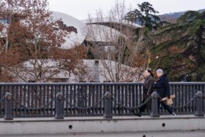 «Получать. Не дадут — уезжать». Как иностранцы относятся к требованию о разрешении на работу в Грузии и что планируют делать