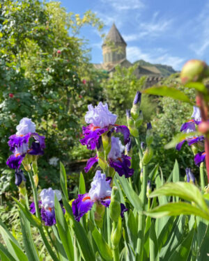 «Астероид цветов». Как в 1920-х в центре Мцхета появился сад, который до сих пор украшает город
